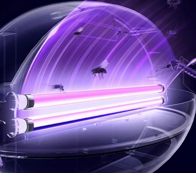 Nola aukeratu LED Fly Killer egokia?